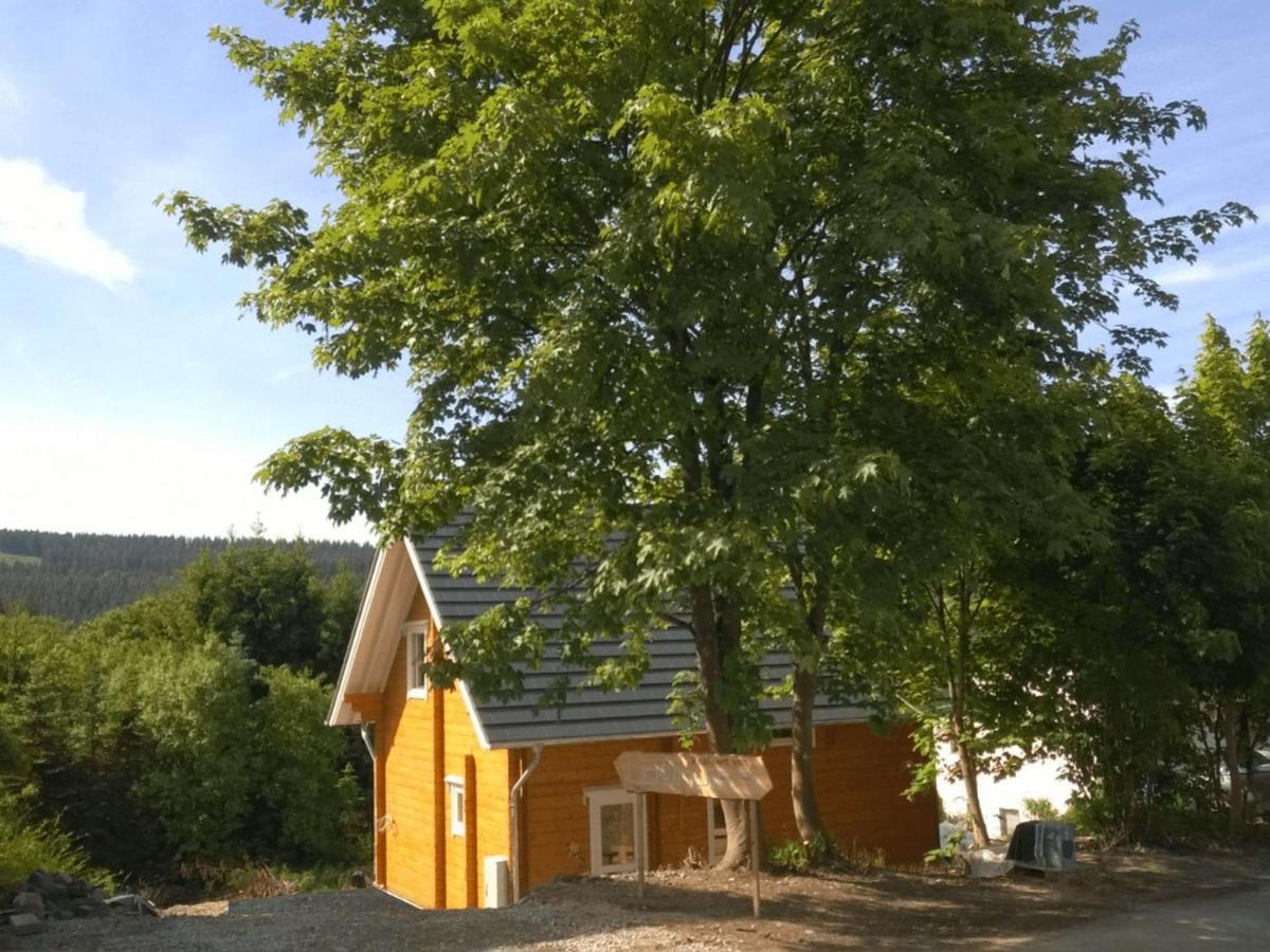 Wooden House With Sauna In K Stelberg Medebach Exterior photo